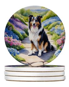 Collie Spring Path Large Sandstone Coasters Pack of 4 Absorbent Round Coasters Decor Gifts for Men or Women, 4 in, Multicolor